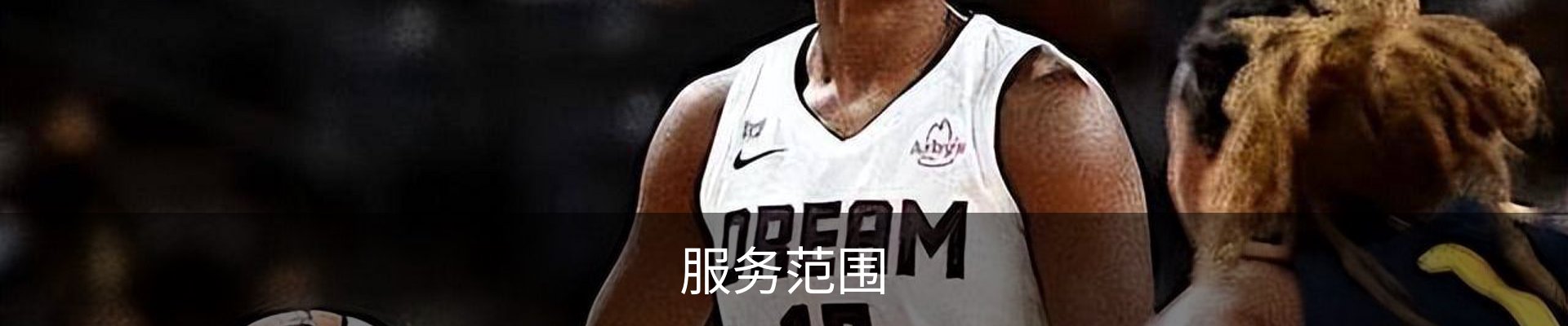 服务范围